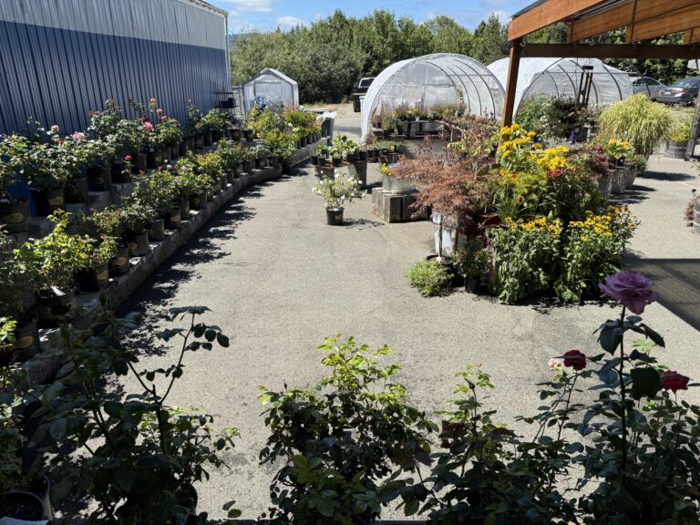 Nursery