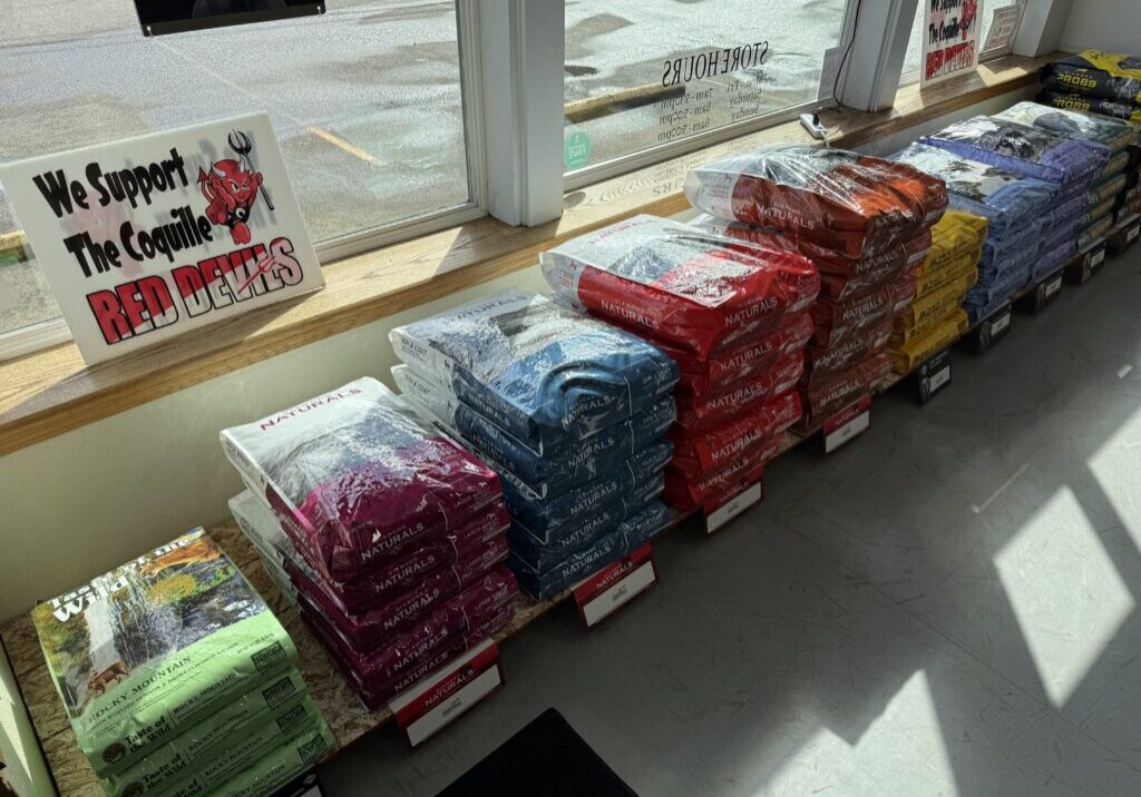 Dog Food
